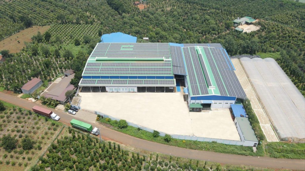 Pearl Group Corporation Spice Factories Showroom 7