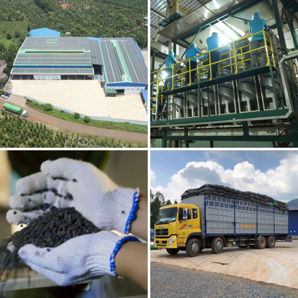 Black Pepper Vs White Pepper Pearl Group Corporation 3