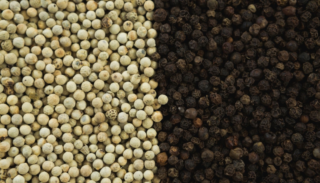 Black Pepper Vs White Pepper Pearl Group Corporation Avatar