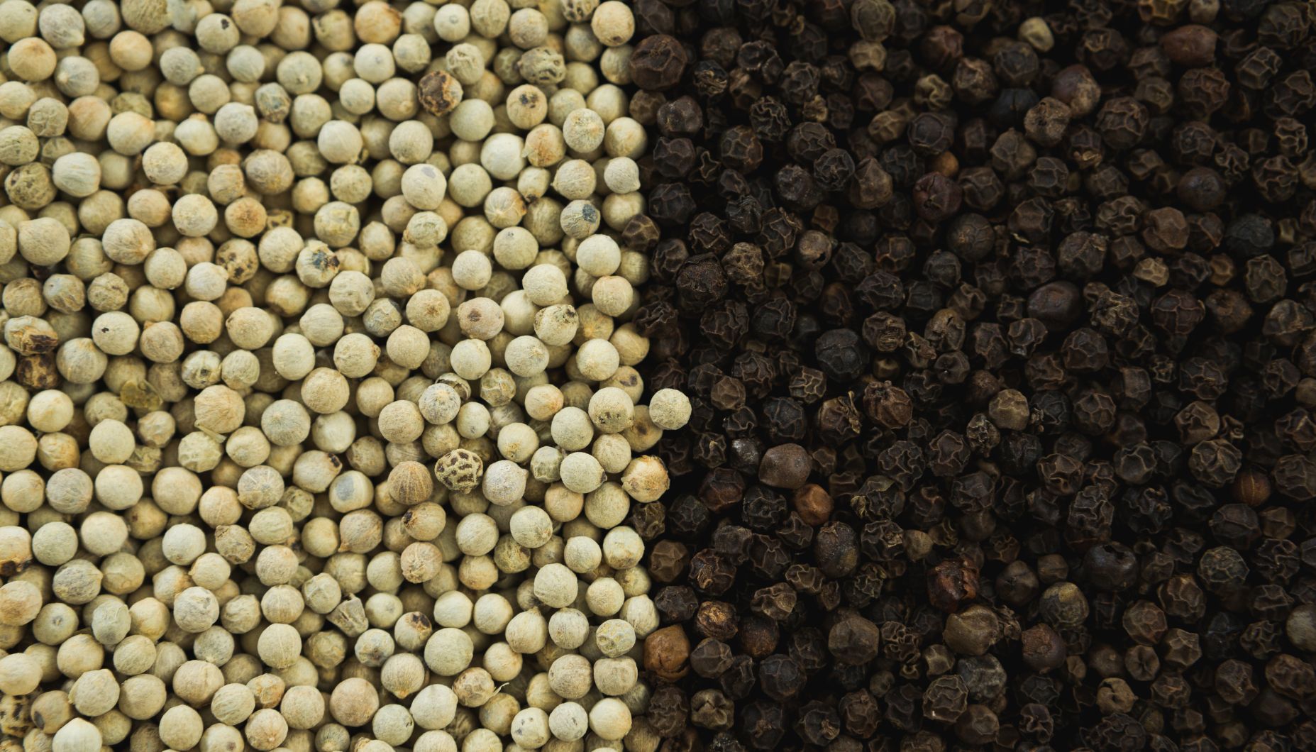 Black Pepper Vs White Pepper Pearl Group Corporation Avatar