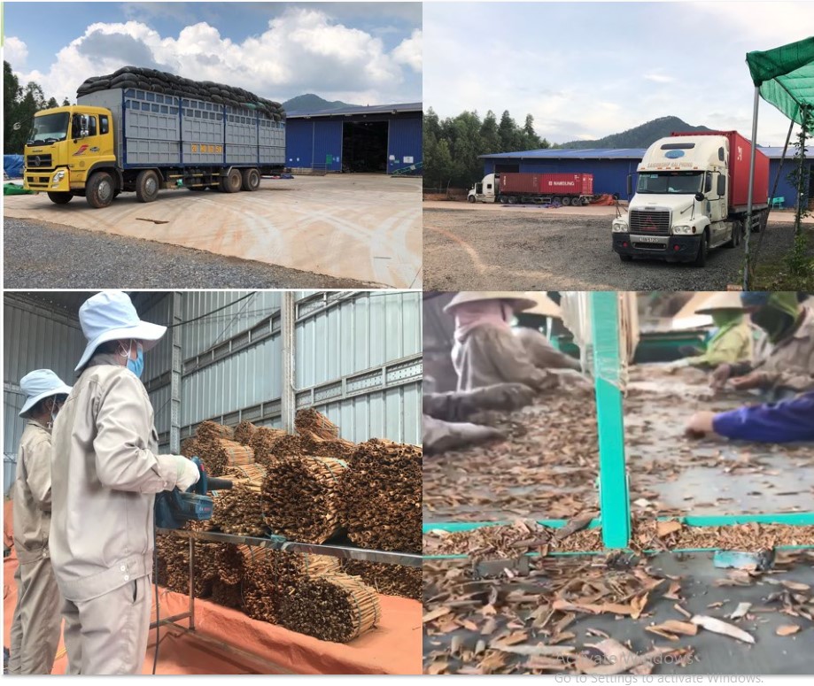 Pear Group Corporation Vietnamese Spices 1