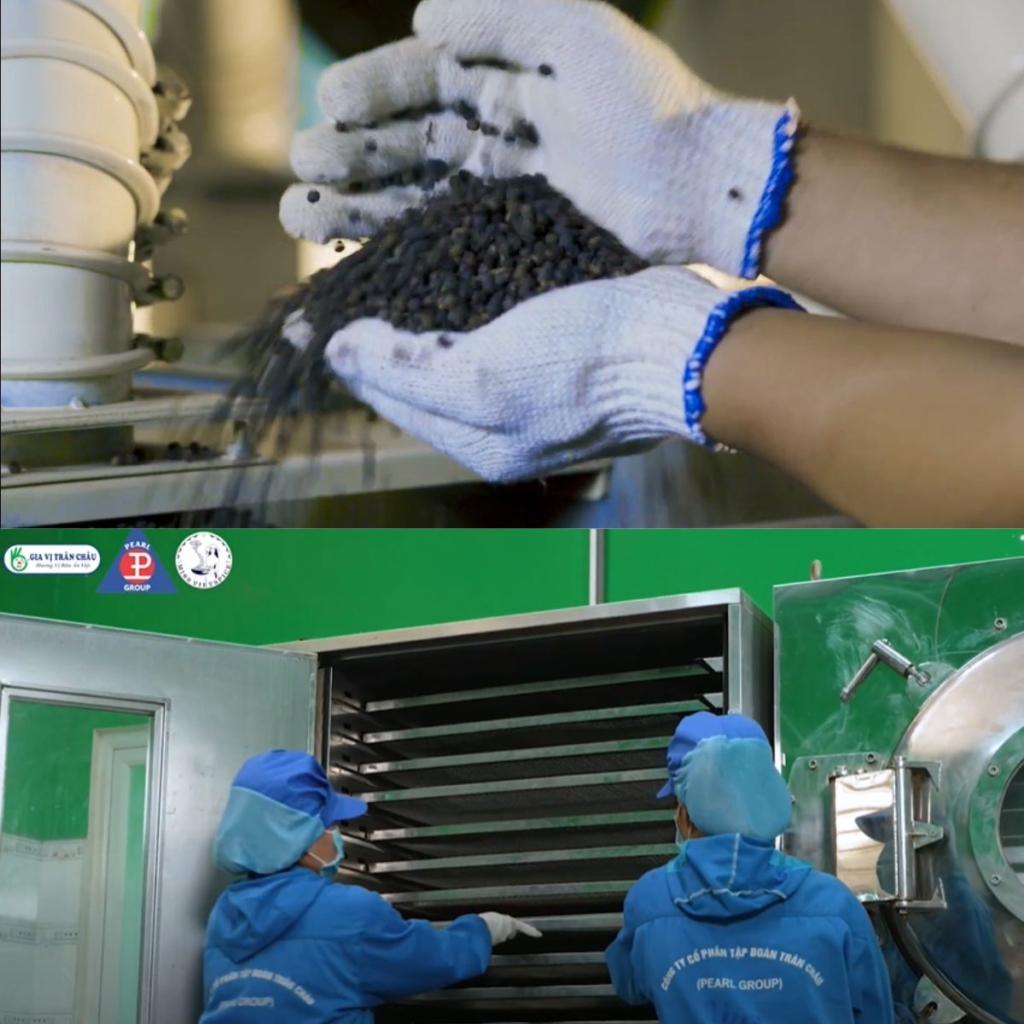 Vietnam Black Pepper Pearl Group Corporation 2