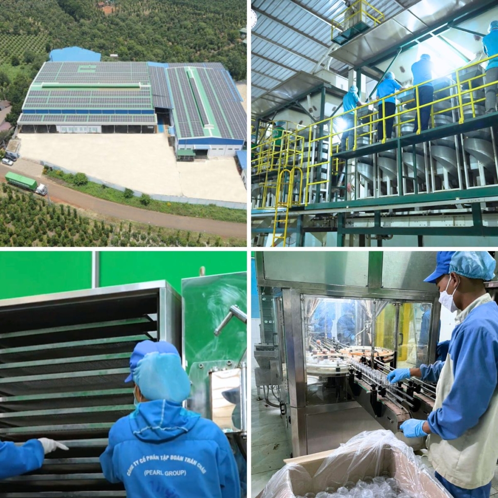 Vietnam Pepper Exporter Pearl Group Corporation 1