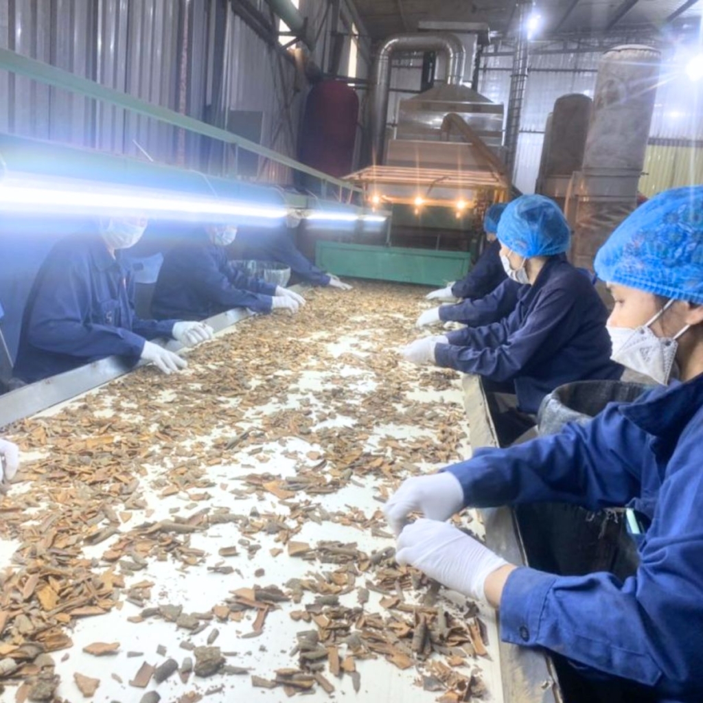 Vietnam Pepper Exporter Pearl Group Corporation