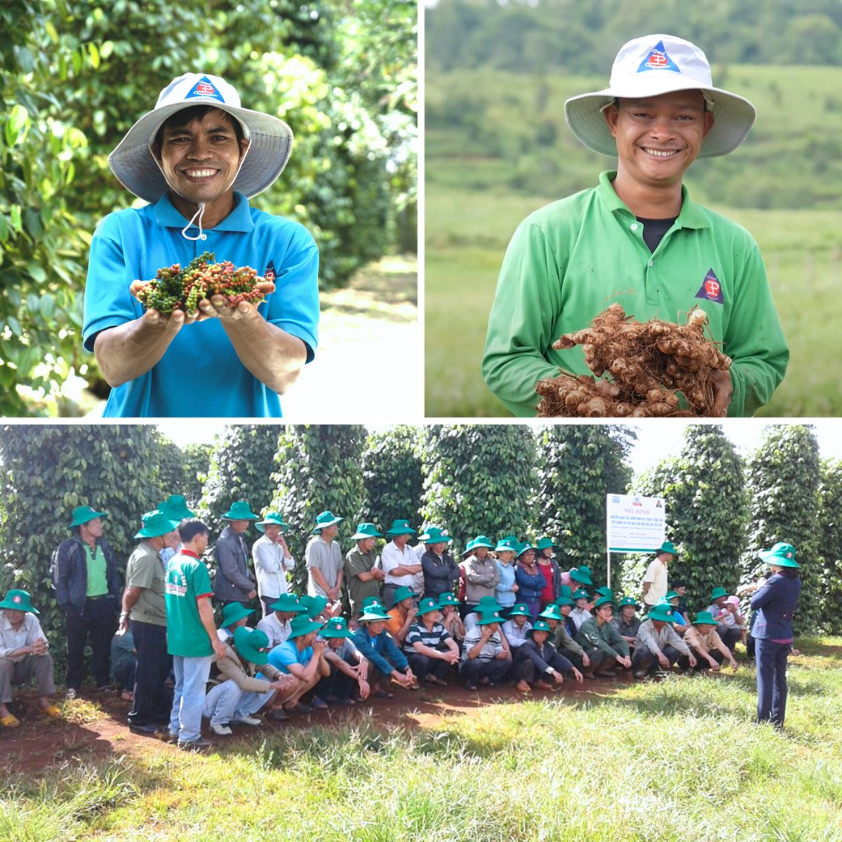 Vietnam Pepper Exporter Pearl Group Corporation 3