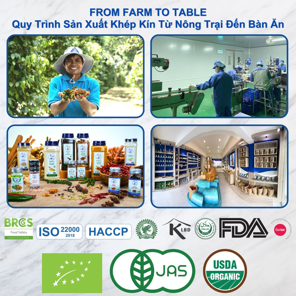 Vietnam Pepper Exporter Pearl Group Corporation 4